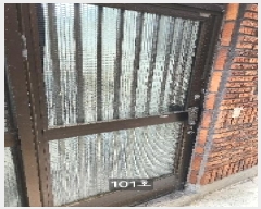  2025Ÿ��5317  ���ð��