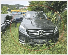  2025Ÿ��5659  �������