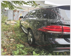  2025Ÿ��5659  �������