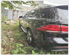  2025Ÿ��5659  �������