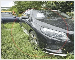  2025Ÿ��5659  �������