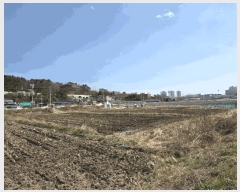  2025Ÿ��278 �λ� ���屺 ������ ���긮 126-1      ����(��)���