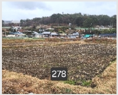  2025Ÿ��278 �λ� ���屺 ������ ���긮 126-1      ����(��)���