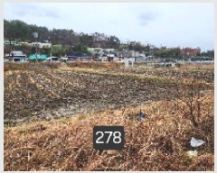  2025Ÿ��278 �λ� ���屺 ������ ���긮 126-1      ����(��)���