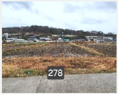  2025Ÿ��278 �λ� ���屺 ������ ���긮 126-1      ����(��)���