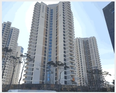  2025Ÿ��339  �ܵ�(ȣ��)���