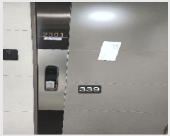  2025Ÿ��339  �ܵ�(ȣ��)���