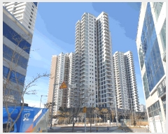  2025Ÿ��339  �ܵ�(ȣ��)���