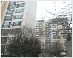  2025Ÿ��400  ����Ʈ���