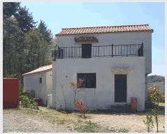  2025Ÿ��429  ���ð��