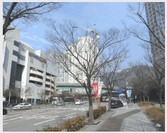  2025Ÿ��436  ���ǽ��ڰ��