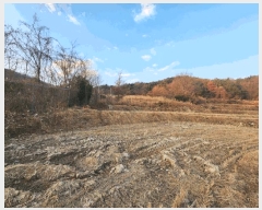  2025Ÿ��500 �λ� ���屺 ����� ���ʸ� 806      ����(��)���