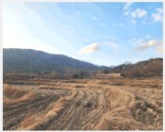  2025Ÿ��500 �λ� ���屺 ����� ���ʸ� 806      ����(��)���