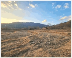  2025Ÿ��500 �λ� ���屺 ����� ���ʸ� 806      ����(��)���