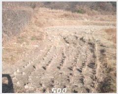  2025Ÿ��500 �λ� ���屺 ����� ���ʸ� 806      ����(��)���