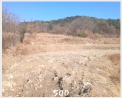  2025Ÿ��500 �λ� ���屺 ����� ���ʸ� 806      ����(��)���