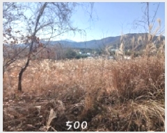  2025Ÿ��500 �λ� ���屺 ����� ���ʸ� 806      ����(��)���