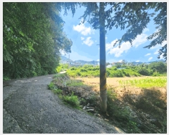  2025Ÿ��579 �λ� ���屺 ������ ����� 874      ����(��)���