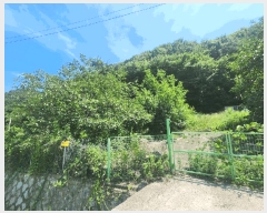  2025Ÿ��579 �λ� ���屺 ������ ����� 874      ����(��)���