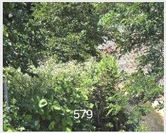  2025Ÿ��579 �λ� ���屺 ������ ����� 874      ����(��)���