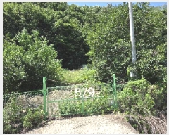  2025Ÿ��579 �λ� ���屺 ������ ����� 874      ����(��)���