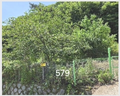  2025Ÿ��579 �λ� ���屺 ������ ����� 874      ����(��)���