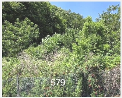  2025Ÿ��579 �λ� ���屺 ������ ����� 874      ����(��)���