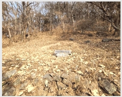  2025Ÿ4409 λ 屺 ö ĥ 2      (Ӿ)