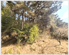  2025Ÿ4409 λ 屺 ö ĥ 2      (Ӿ)