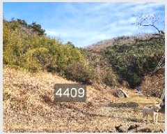  2025Ÿ4409 λ 屺 ö ĥ 2      (Ӿ)