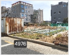  2025Ÿ��4976  �������