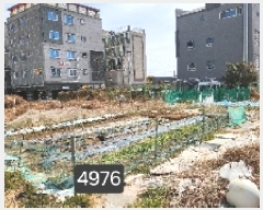  2025Ÿ��4976  �������