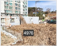  2025Ÿ��4976  �������