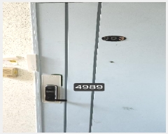  2025Ÿ��4989  ����Ʈ���