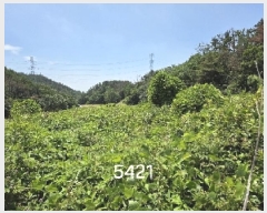  2025Ÿ��5421 �λ� ���屺 ����� �ݷ渮 258      ����(��)���