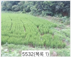  2025Ÿ��5532 �λ� ���屺 �ϱ��� ���� 559      ����(��)���