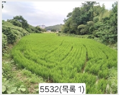  2025Ÿ��5532 �λ� ���屺 �ϱ��� ���� 559      ����(��)���