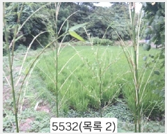  2025Ÿ��5532 �λ� ���屺 �ϱ��� ���� 559      ����(��)���