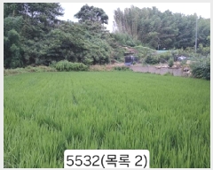 2025Ÿ��5532 �λ� ���屺 �ϱ��� ���� 559      ����(��)���