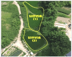  2025Ÿ��5532 �λ� ���屺 �ϱ��� ���� 559      ����(��)���
