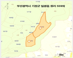  2025Ÿ��5532 �λ� ���屺 �ϱ��� ���� 559      ����(��)���