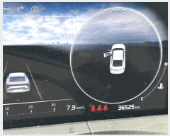  2025Ÿ��5634 �λ�� ���屺 ���� 791-7 (���������)      �������