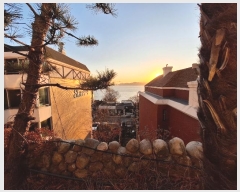  2025Ÿ��56  �ټ���(����)���