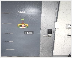  2025Ÿ��186  ����Ʈ���