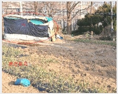  2025Ÿ��285  �����