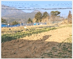  2025Ÿ��285  �����