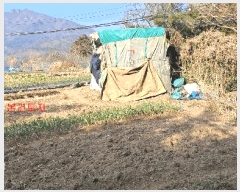  2025Ÿ��285  �����