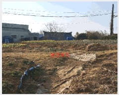  2025Ÿ��285  �����