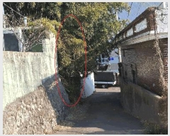  2025Ÿ��285  �����