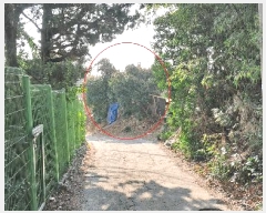  2025Ÿ��285  �����